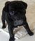 Click to view classifieds AEOPXEXR