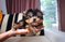 Click to view classifieds SBAVJKVV