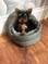Click to view classifieds GDBTBKUC