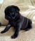 Click to view classifieds BXQJFTYV
