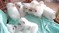 Click to view classifieds RLVXLYGG