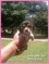 Click to view classifieds HMUJUTUZ