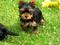 Click to view classifieds SDSZJRBX