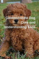 Click to view classifieds RPNHGESB