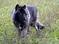 Click to view classifieds LHJCUZKU