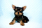 Click to view classifieds SWHYPSTP
