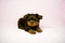 Click to view classifieds QKEVWTBR