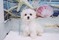 Click to view classifieds UNFMTHNT