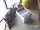 Click to view classifieds MDTOCMGF