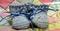 Click to view classifieds JTSJQGWB