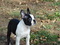 Click to view classifieds XXABTXNM