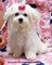 Click to view classifieds KNGOJRSG