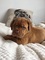 Click to view classifieds LZLXMQTM