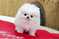 Click to view classifieds QGGHEQEV