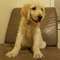 Click to view classifieds UEVQBRBO