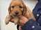 Click to view classifieds KFFSWBVQ