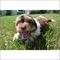 Click to view classifieds BJLBOTFK