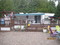 Click to view classifieds EFNTYRUX