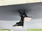 Click to view classifieds XDFDCJLK