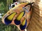Click to view classifieds GOLCQXNY