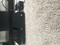 Click to view classifieds LVPRJQOZ