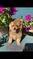 Click to view classifieds OQQSKVUW