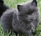 Click to view classifieds KQHJYQGZ