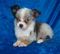 Click to view classifieds WTLJHHUE