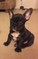 Click to view classifieds DXMLYHFC