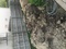 Click to view classifieds XVNUCDAE