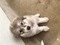 Click to view classifieds FCGTWXRM