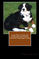 Click to view classifieds OHMQXGZE