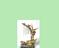Click to view classifieds YUUMMDDE