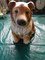 Click to view classifieds WWWKKYLV
