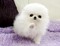 Click to view classifieds FLXVCZWH