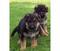 Click to view classifieds QPJPZSWC