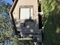 Click to view classifieds YTPAZZTP