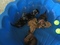 Click to view classifieds AVNSNYYN