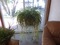 Click to view classifieds CCTXGNUP