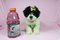 Click to view classifieds NLOLYNJZ