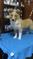Click to view classifieds ORYTRKVD