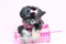 Click to view classifieds LKSBCZST