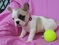 Click to view classifieds MRXNWFED