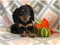 Click to view classifieds DDXHSCGB
