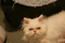 Click to view classifieds OWTUSBBN