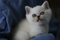 Click to view classifieds ZJZJLYFZ