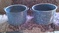 Click to view classifieds OOTEOSRU