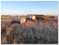 Click to view classifieds MABMKCAO