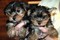 Click to view classifieds RPUSBXZU