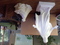 Click to view classifieds YMJFFCCK